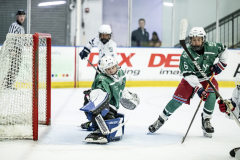 Wildcats-VS-Spartans_84